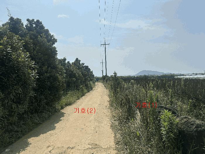 제주특별자치도 제주시 한경면 조수리 3894-1 전 경매 사진 3