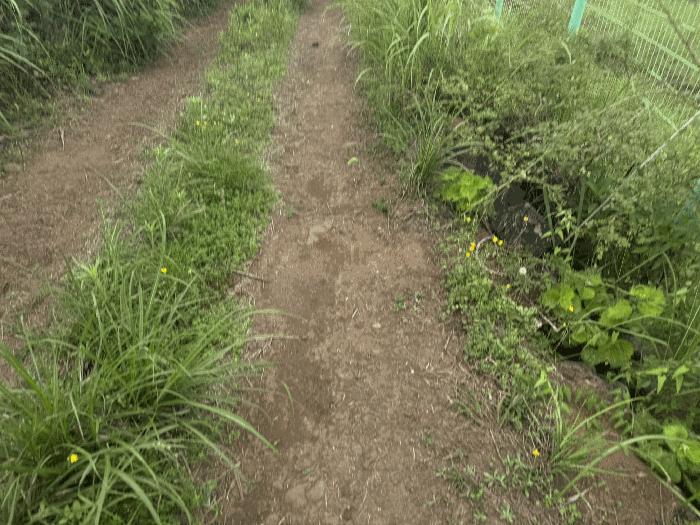 제주 서귀포시 임야