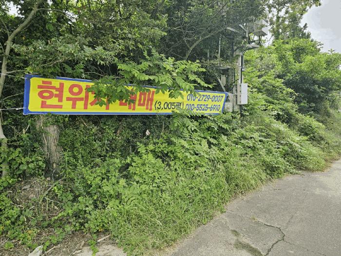 제주특별자치도 제주시 애월읍 유수암리 2232 전 경매 사진 8