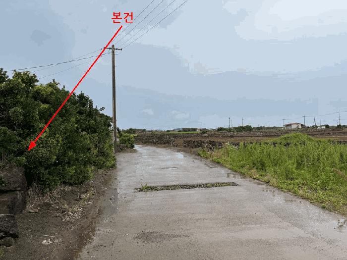 제주 서귀포시 전
