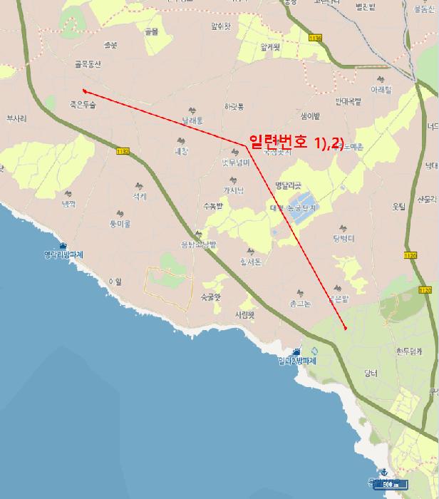 제주특별자치도 서귀포시 대정읍 일과리 951-7 전 경매 사진 13