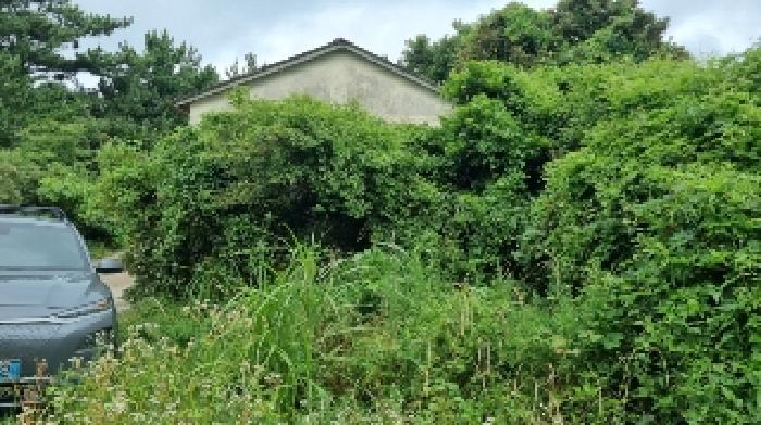 제주특별자치도 서귀포시 성산읍 고성리 826-2 잡종지 경매 사진 10