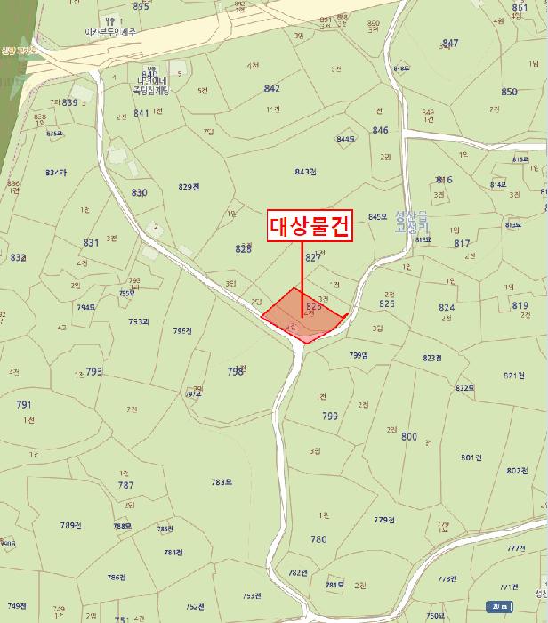 제주특별자치도 서귀포시 성산읍 고성리 826-2 잡종지 경매 사진 17
