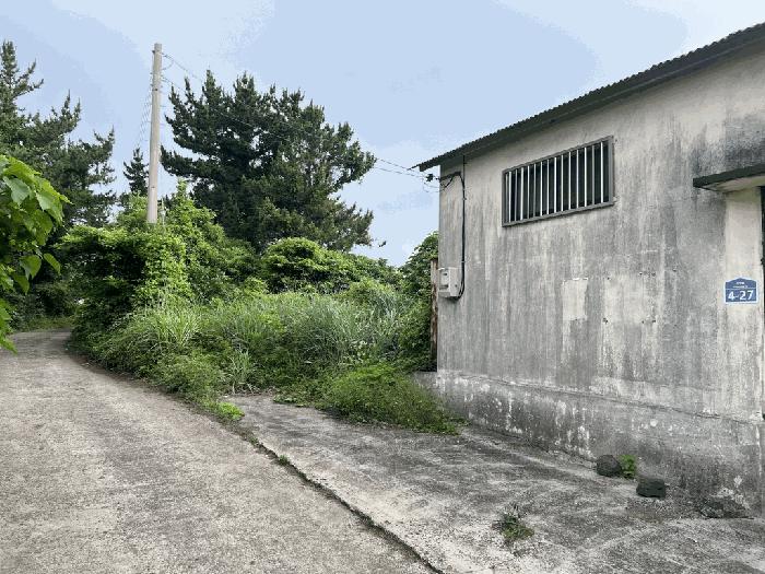 제주특별자치도 서귀포시 성산읍 고성리 826-4 전 경매 사진 4