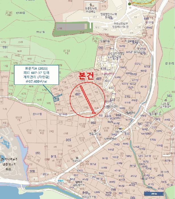 인천광역시 옹진군 영흥면 외리 607-17 임야 경매 사진 8