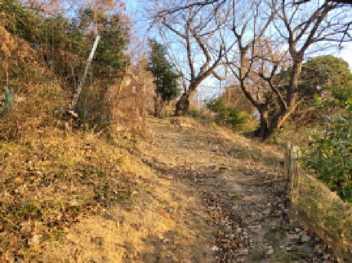 전라남도 여수시 광무동 915-13 창고 경매 사진 19