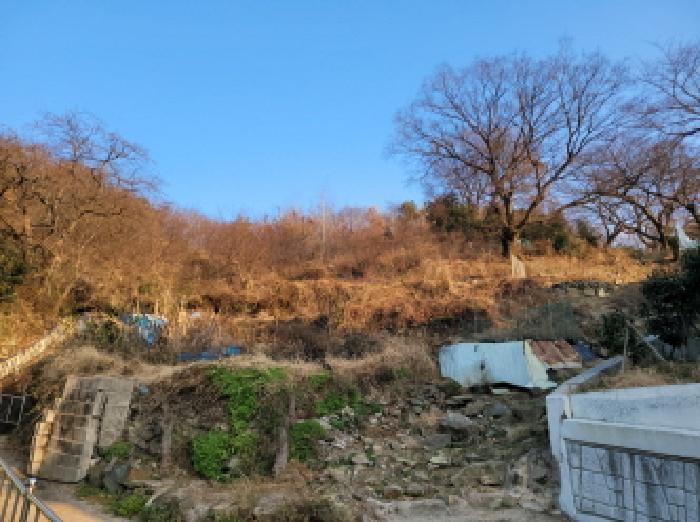 전라남도 여수시 광무동 915-13 창고 경매 사진 20