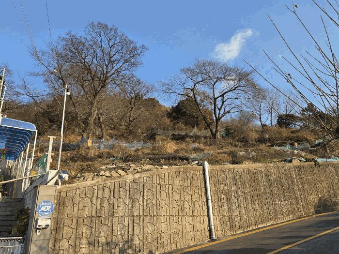 전라남도 여수시 광무동 915-13 창고 경매 사진 3