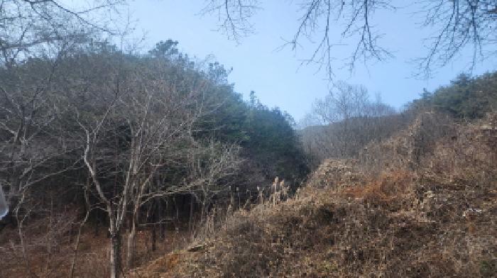 전라남도 보성군 문덕면 죽산리 506 임야 경매 사진 20