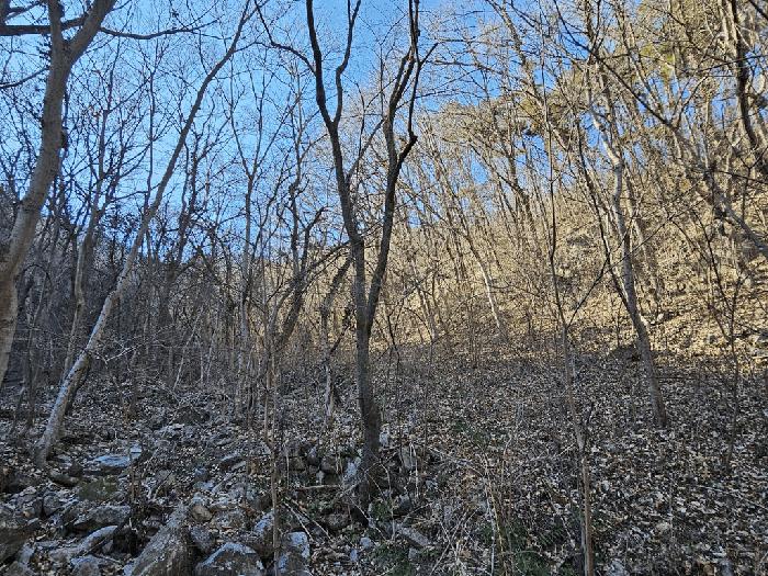 전라남도 구례군 문척면 중산리 456 전 경매 사진 10