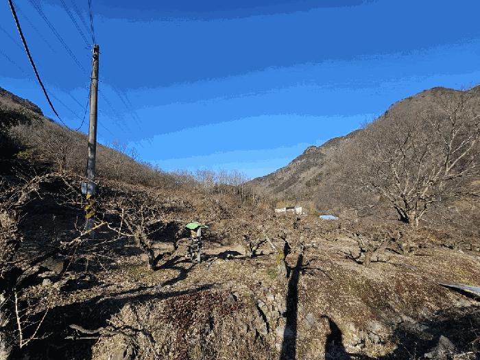 전라남도 구례군 문척면 중산리 456 전 경매 사진 14