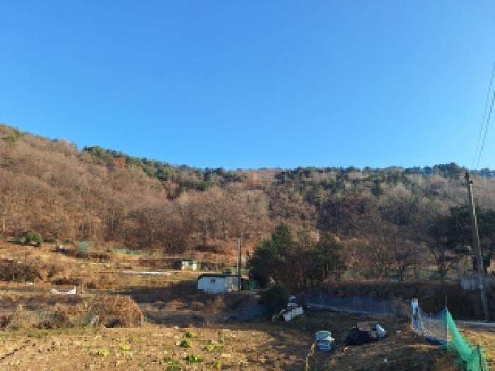 전라남도 구례군 문척면 중산리 456 전 경매 사진 19