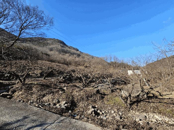 전라남도 구례군 문척면 중산리 458 전 경매 사진 15