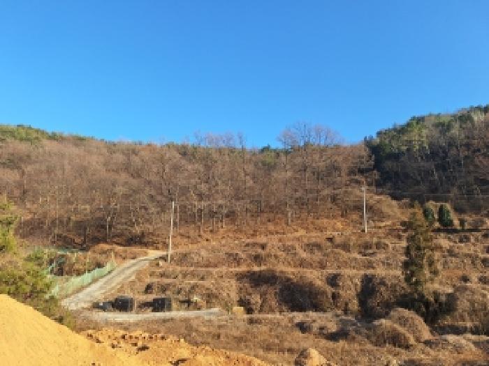전라남도 구례군 문척면 중산리 458 전 경매 사진 18