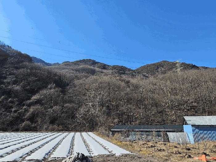 전라남도 구례군 문척면 중산리 458 전 경매 사진 6
