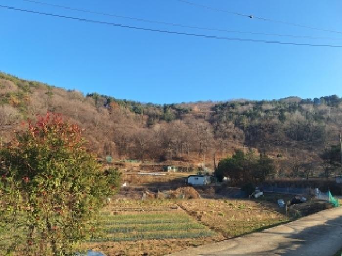 전라남도 구례군 문척면 중산리 465 전 경매 사진 16