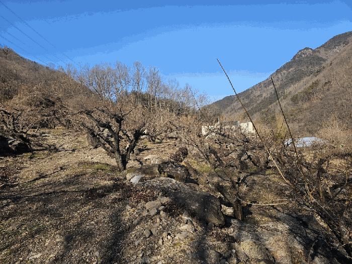 전라남도 구례군 문척면 중산리 462-1 전 경매 사진 13