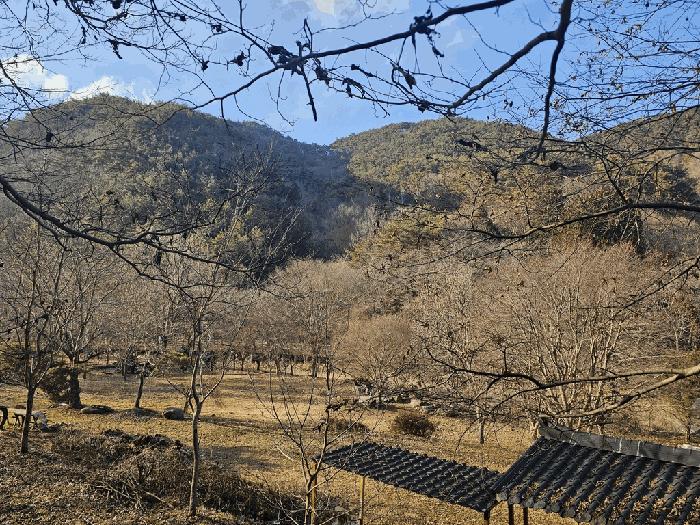 전라남도 구례군 문척면 중산리 462-1 전 경매 사진 2
