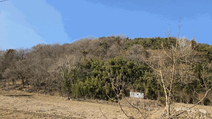 전라남도 순천시 주암면 궁각리 산88-6 임야 경매 사진 6
