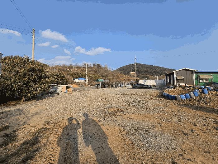 전라남도 고흥군 도화면 봉룡리 650 전 경매 사진 9
