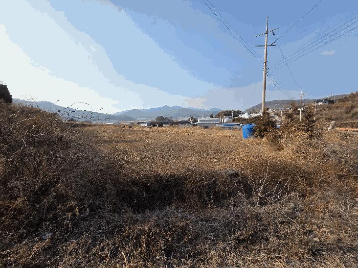 전라남도 고흥군 도화면 봉룡리 1397-5 답 경매 사진 11