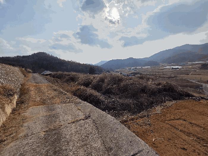 전라남도 고흥군 도화면 사덕리 180 전 경매 사진 1