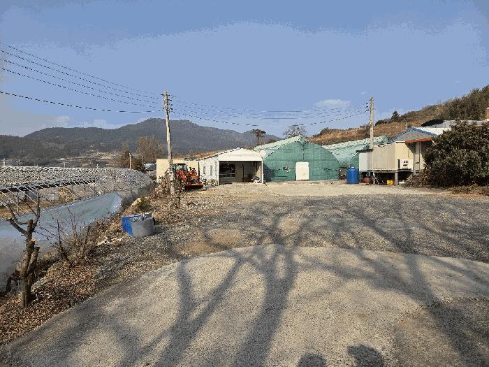 전라남도 고흥군 도화면 사덕리 180 전 경매 사진 7