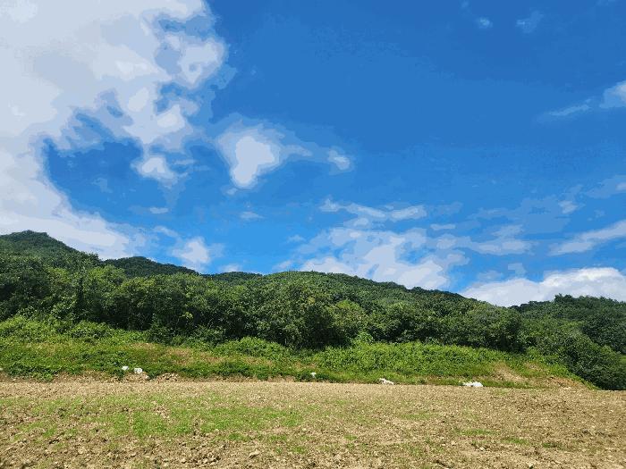 강원특별자치도 철원군 김화읍 생창리 131 전 경매 사진 2