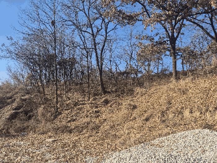 충청북도 청주시 청원구 북이면 금암리 99-5 전 경매 사진 1