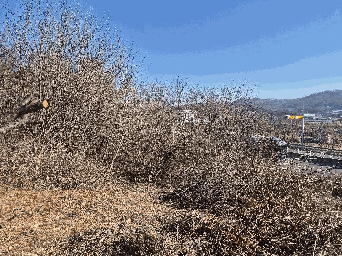 충청북도 청주시 청원구 북이면 금암리 99-5 전 경매 사진 4