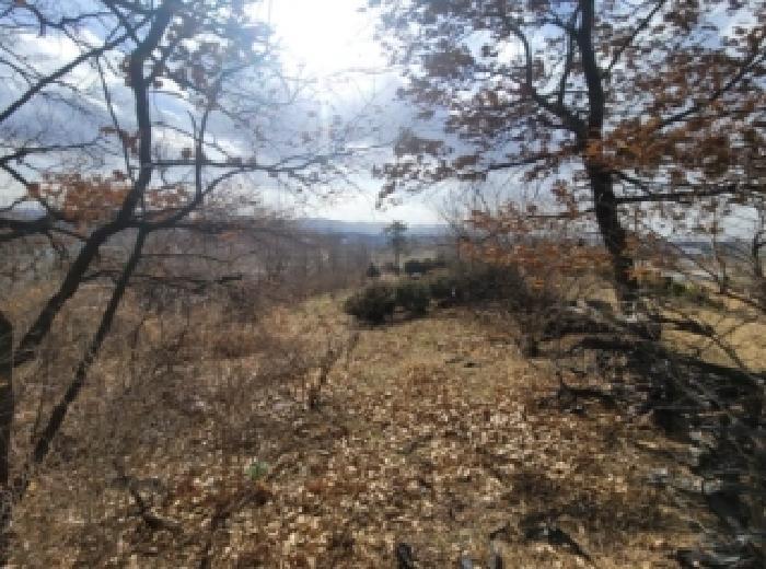 충청북도 청주시 청원구 북이면 금암리 104-5 전 경매 사진 10