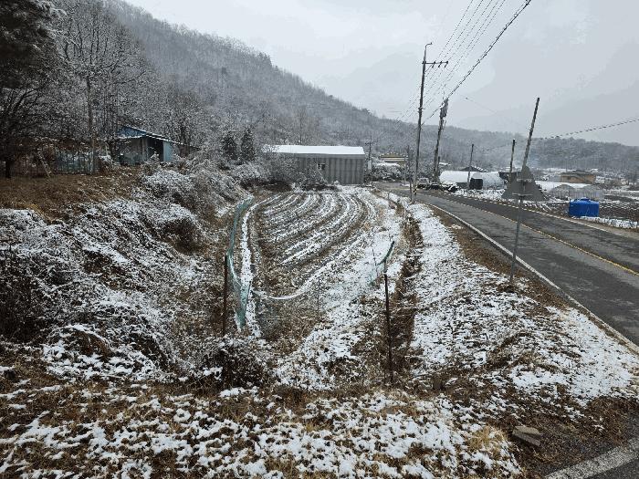 충청북도 청주시 상당구 낭성면 인경리 104-1 전 경매 사진 2