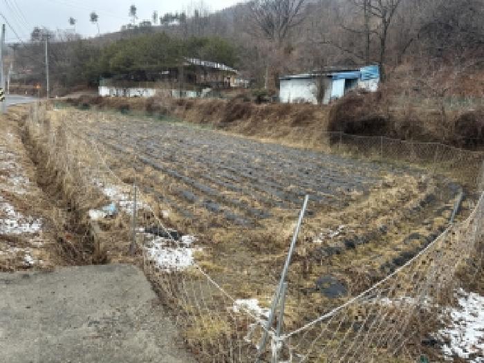충청북도 청주시 상당구 낭성면 인경리 104-1 전 경매 사진 4