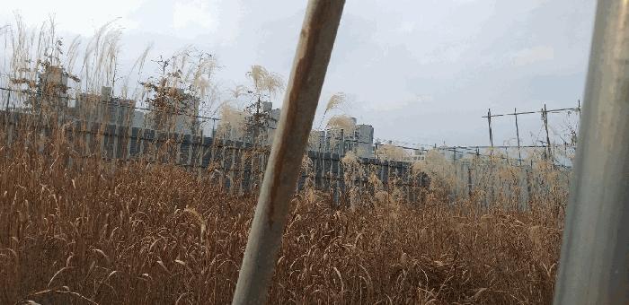 충청북도 청주시 상당구 용암동 2999 대지 경매 사진 7