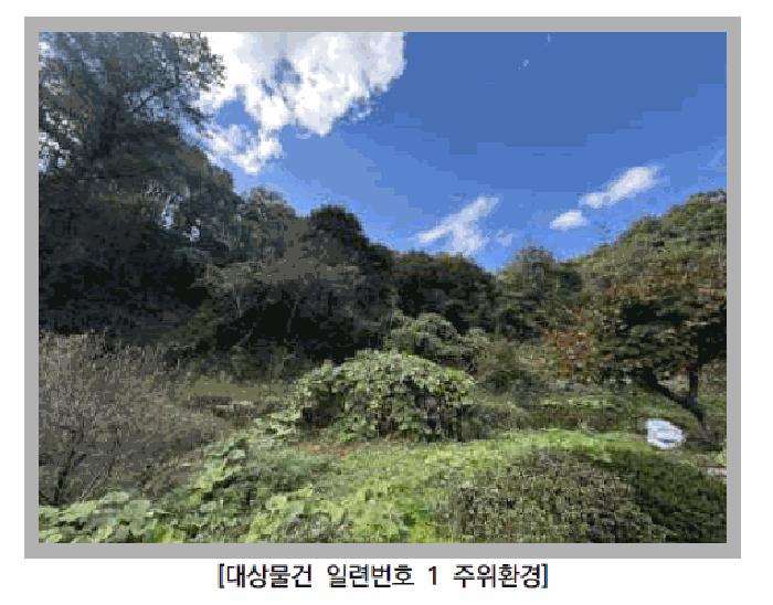 경기 포천시 임야