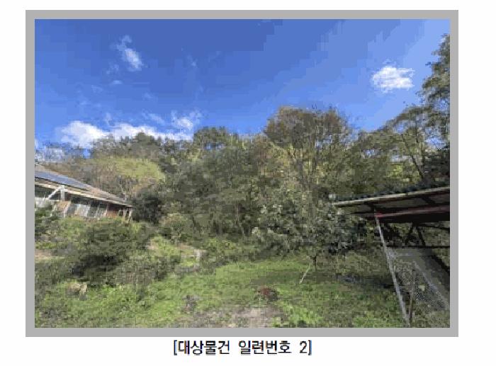 경기도 포천시 영중면 금주리 산125 임야 경매 사진 3
