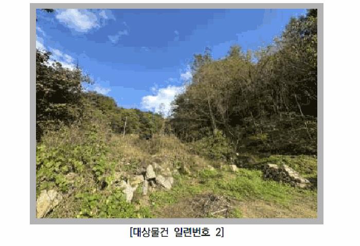 경기도 포천시 영중면 금주리 산81 임야 경매 사진 4