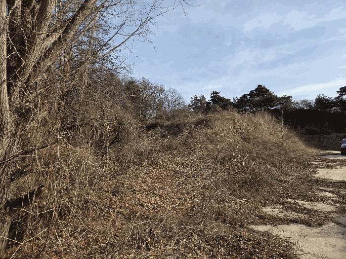 충청북도 청주시 상당구 가덕면 계산리 126-7 대지 경매 사진 9