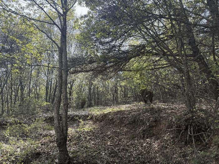 충청남도 서산시 임야