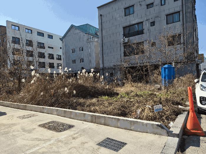 대전 서구 대지