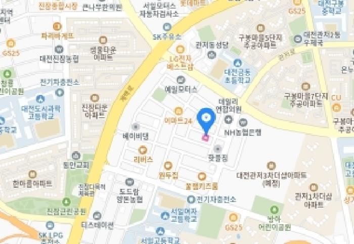 대전광역시 서구 관저동 1956-4 대지 경매 사진 18