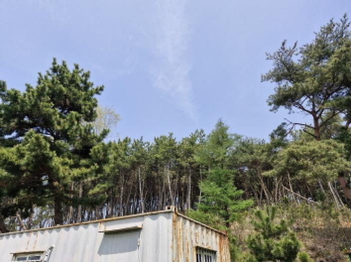 경기도 안산시 단원구 대부남동 산192-3 임야 경매 사진 6