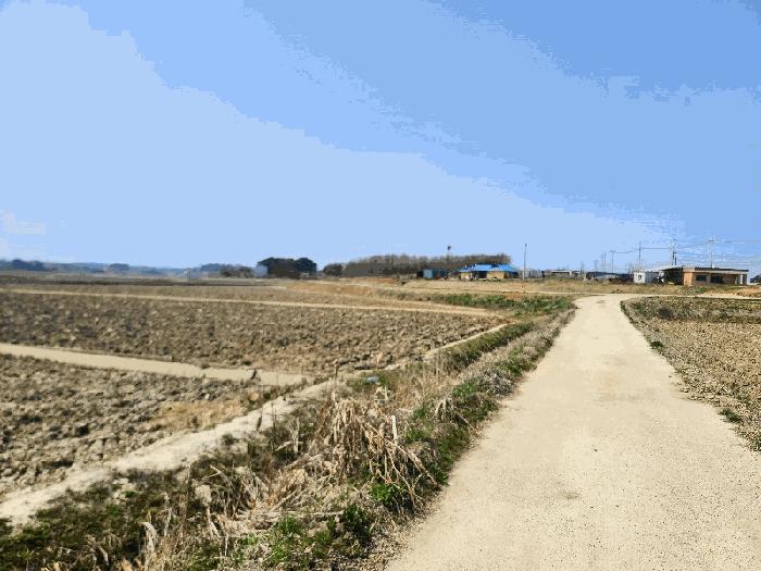 충청남도 당진시 송악읍 복운리 1377 답 경매 사진 3
