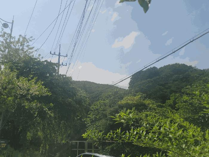 경기 광명시 임야