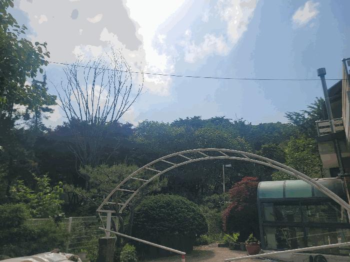 경기도 광명시 일직동 산38 임야 경매 사진 2