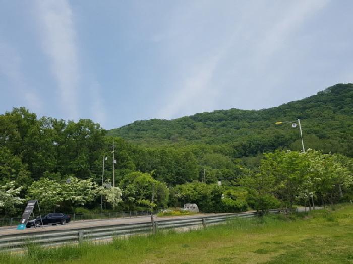 경기도 광명시 일직동 산38 임야 경매 사진 4