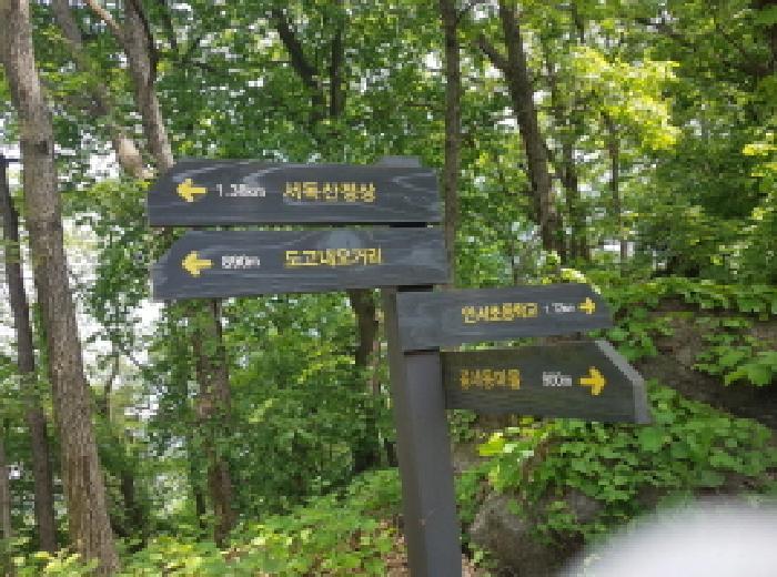 경기도 광명시 일직동 산38 임야 경매 사진 6