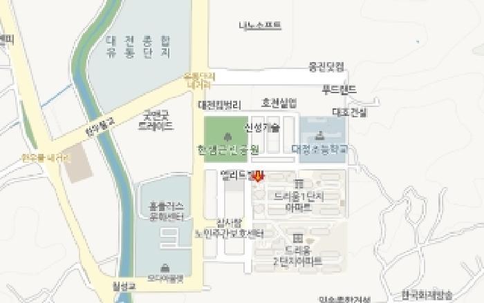대전광역시 유성구 대정동 316-1 대전드리움아파트1단지 110동 12층1201호 아파트 경매 사진 8
