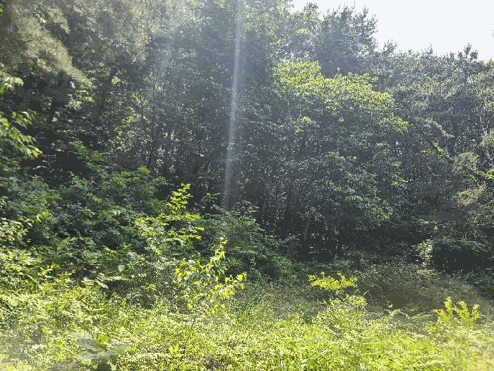 충청남도 당진시 송산면 금암리 11 당진대상아파트 107동 1층105호 아파트 경매 사진 2