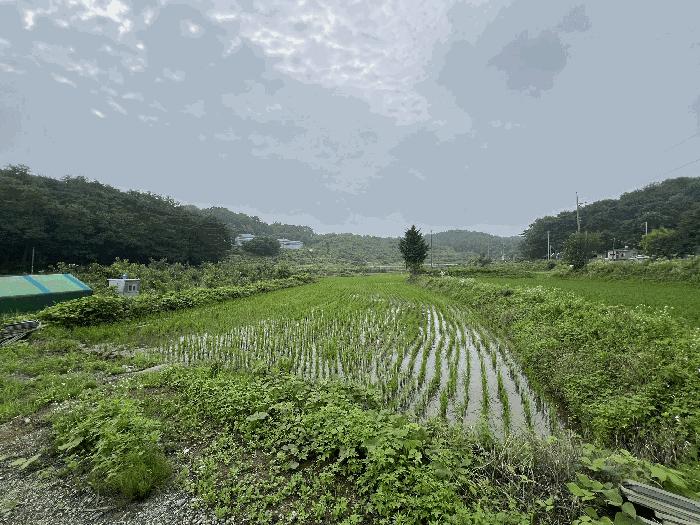 충청남도 당진시 전